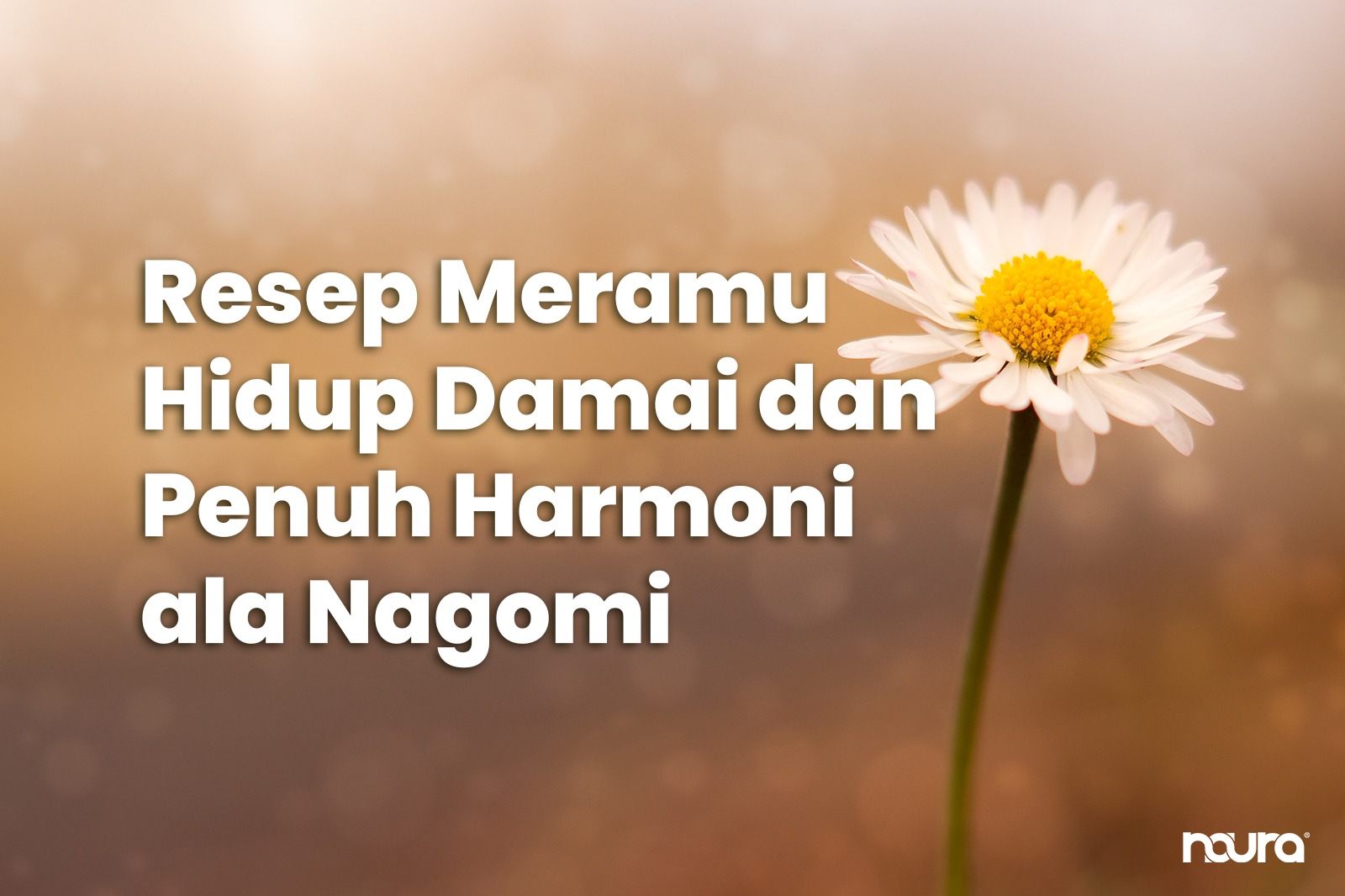 Resep Meramu Hidup Damai dan Penuh Harmoni ala Nagomi